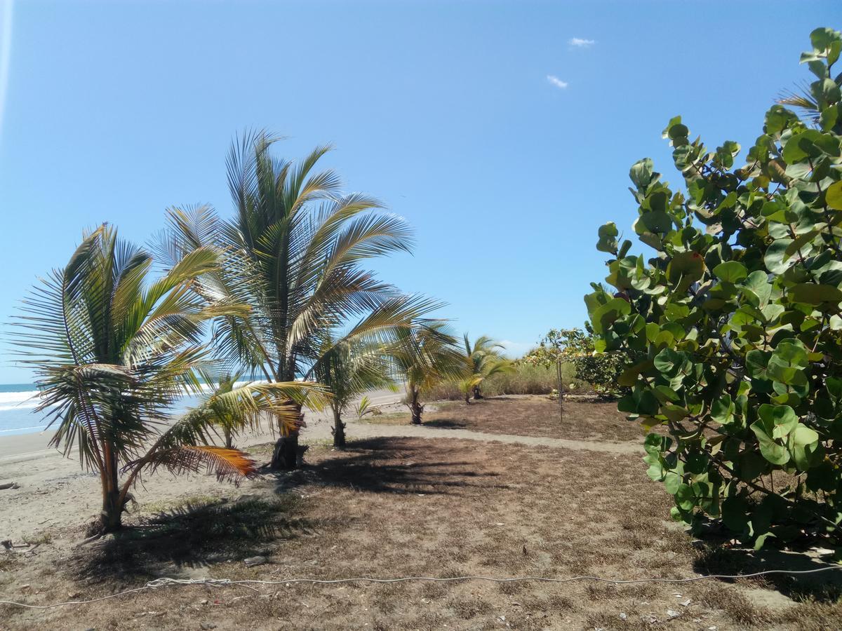 B&B Le Villette Las Lajas Екстер'єр фото